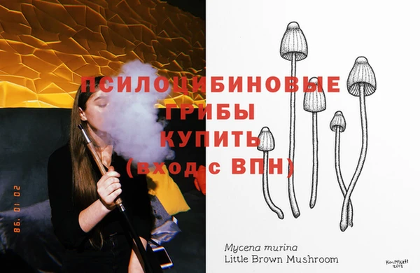 мет Армянск